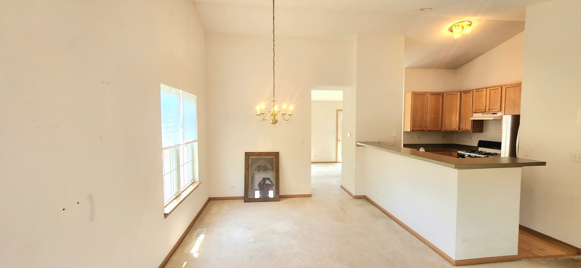 2435 Golf Ridge Circle, Unit 2435 Naperville, IL 60563 - Photo 5 of 20