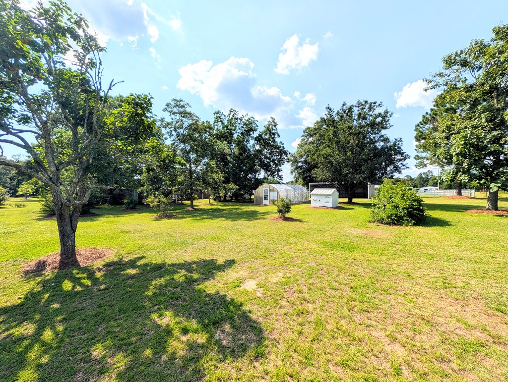 3117 Holland Road Newton, AL 36352 - Photo 53 of 78