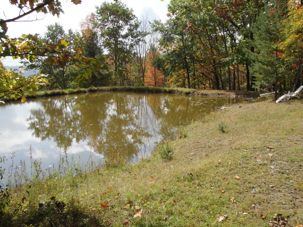 209 Meeker Road Vestal, NY 13850 - Photo 12 of 19 Gallery Image 12