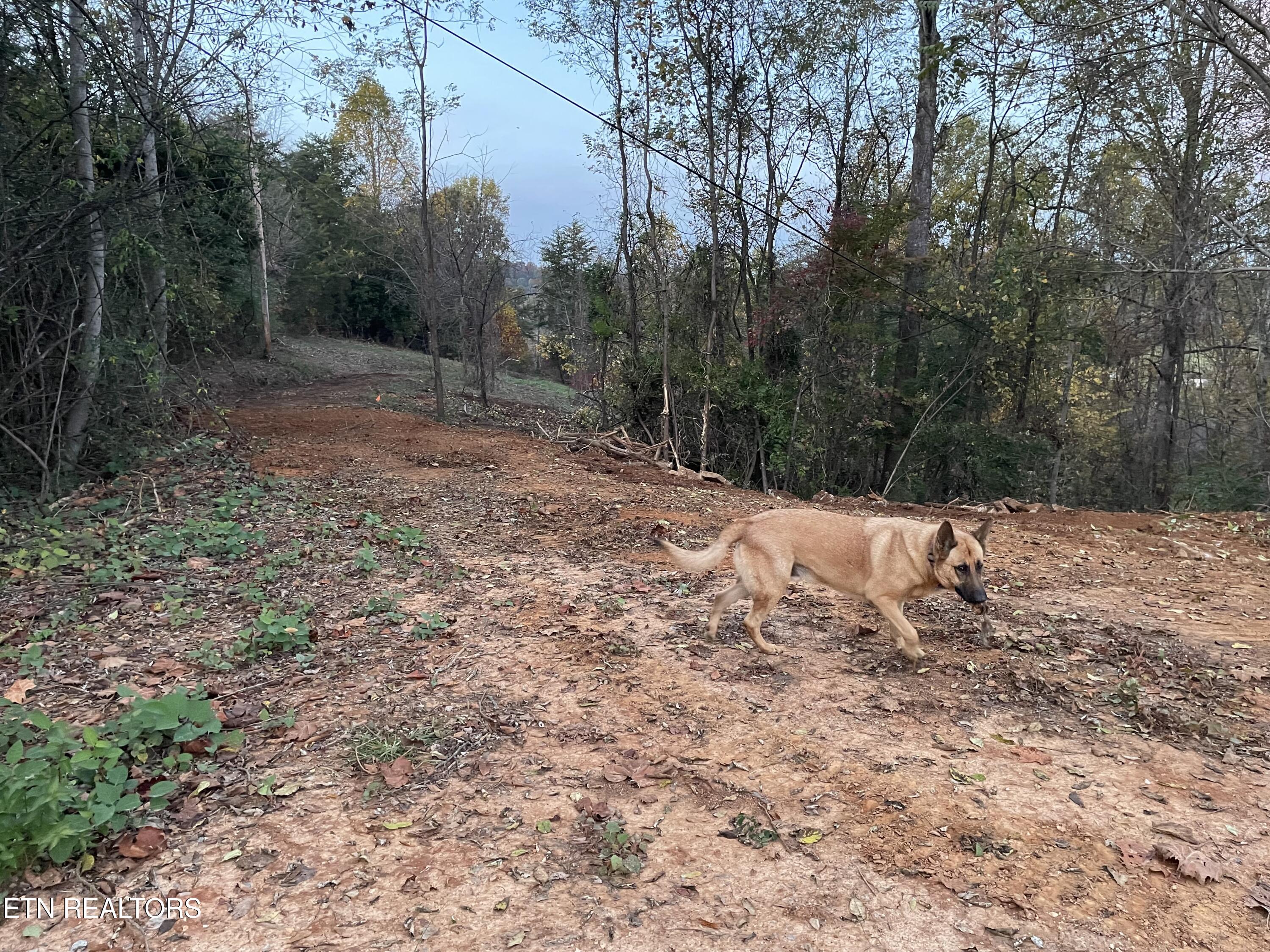 Lot 1 Turley Bridge Road Morristown, TN 37814 - Photo 3 of 5 Lot 1-2