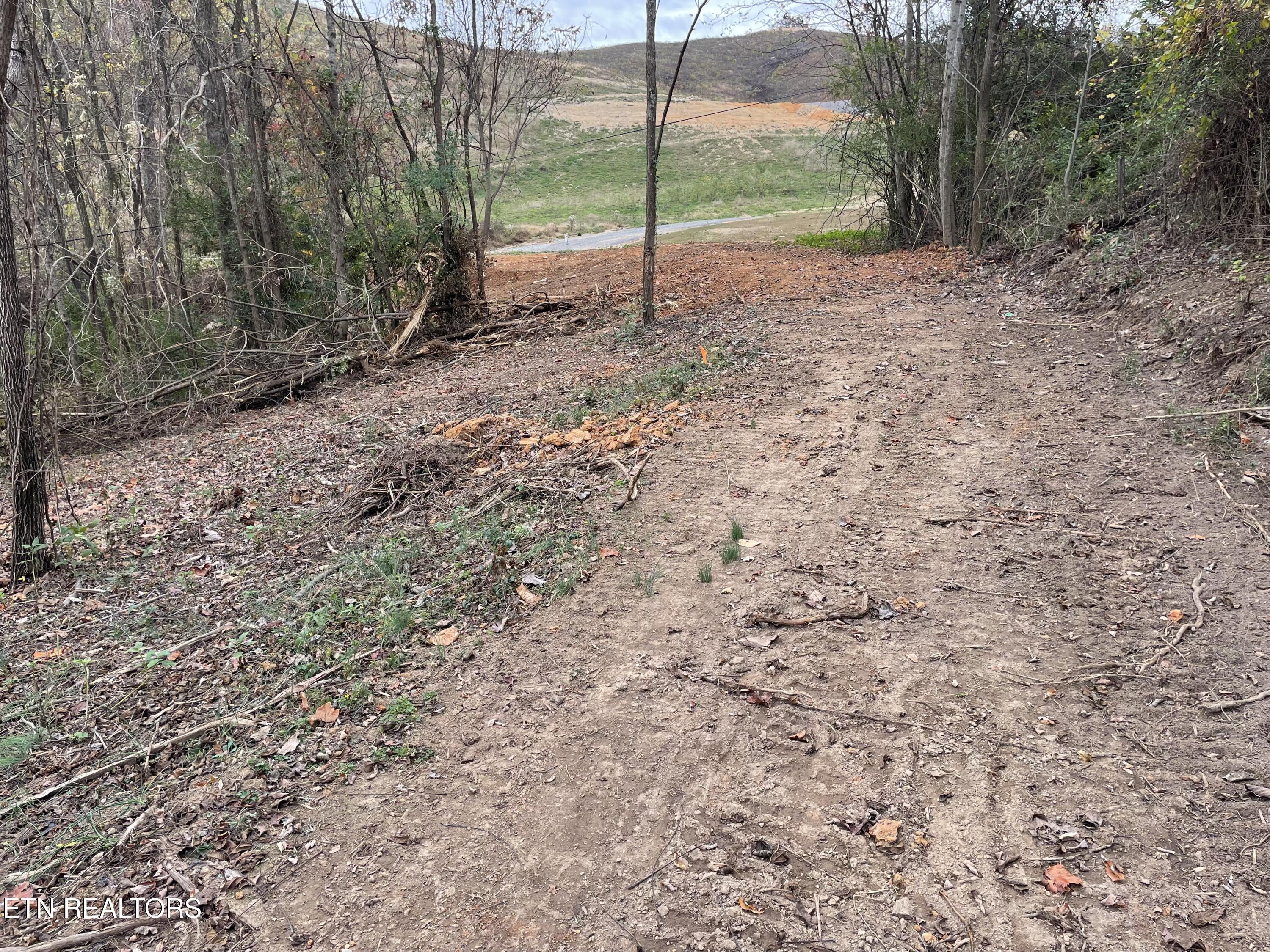 Lot 1 Turley Bridge Road Morristown, TN 37814 - Photo 4 of 5 Lot1-4