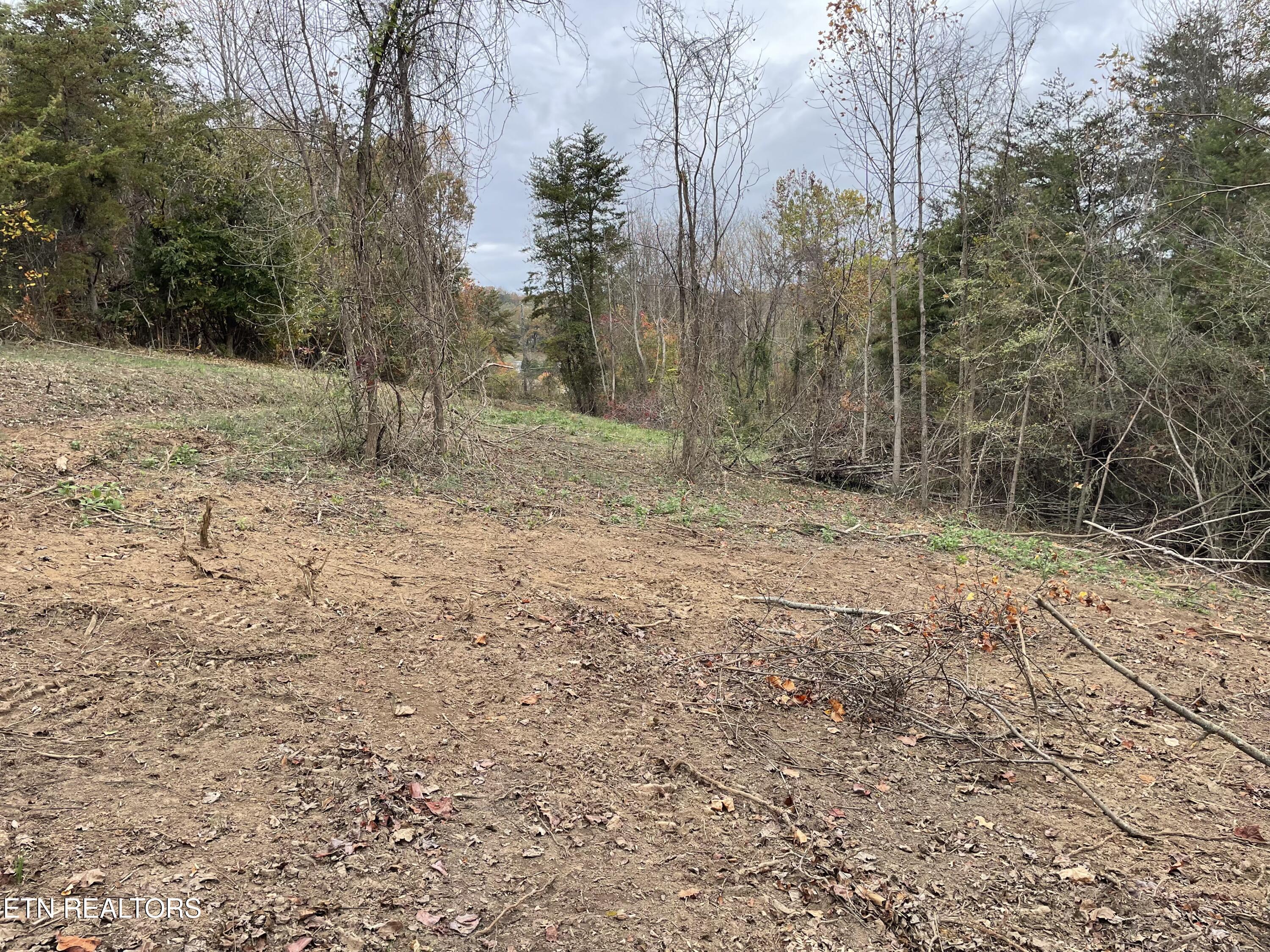 Lot 1 Turley Bridge Road Morristown, TN 37814 - Photo 5 of 5 Lot 1-4