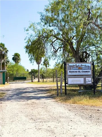 a view of backyard with wooden floor