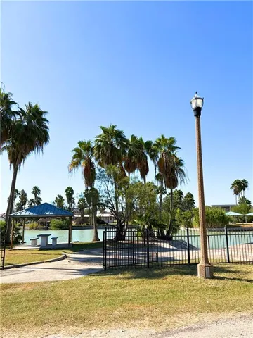 a view of a yard with plants