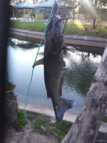 a close view of flowerpot