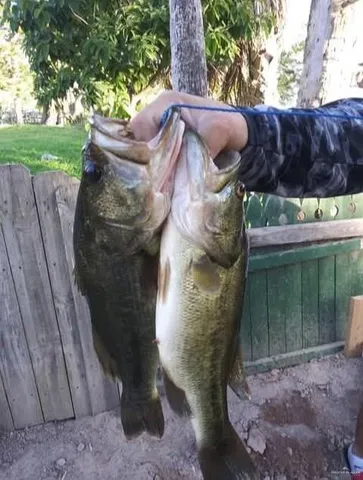 $260,000 | 317 North Kika De La Garza Boulevard, La Joya, TX 78560