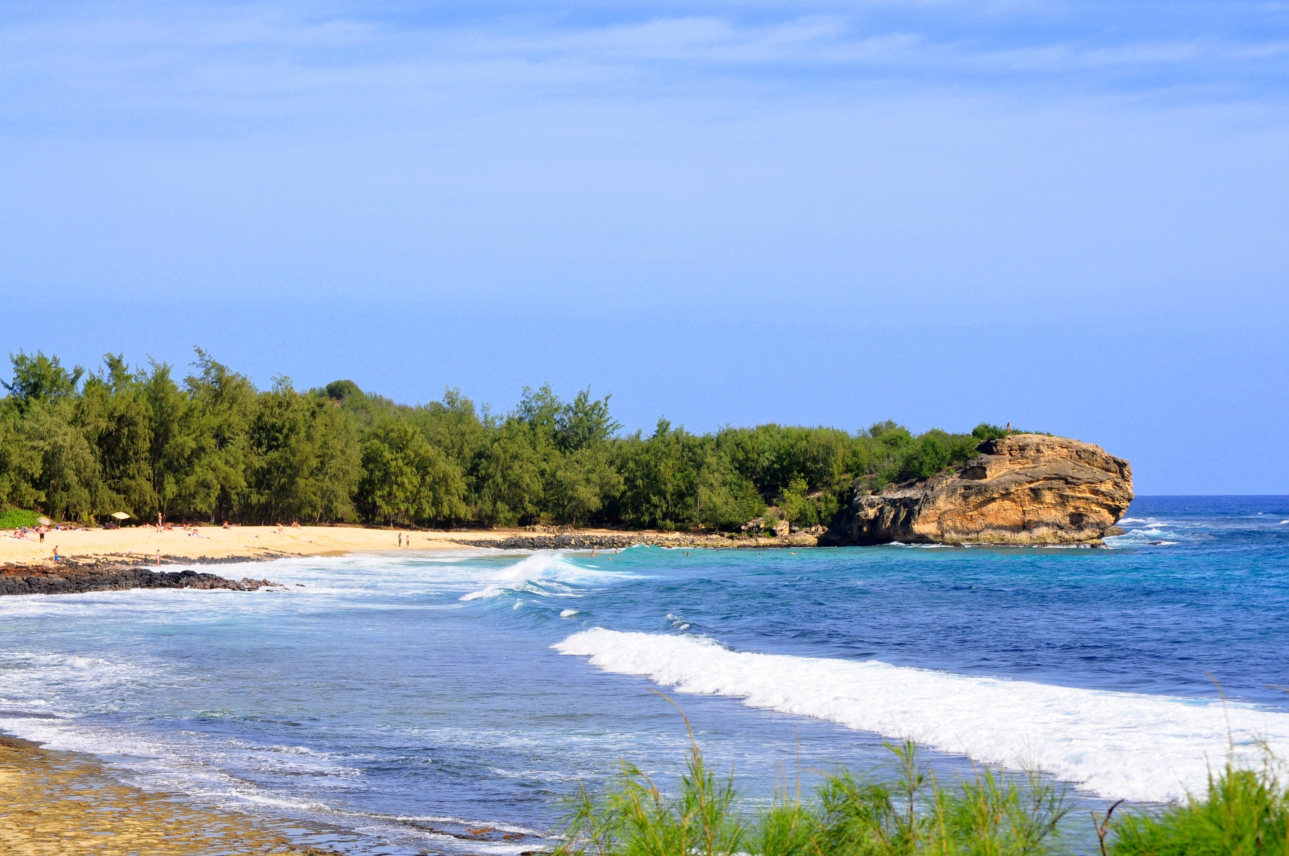 1568 Pe'e Road, Unit 211 Koloa, HI 96756 - Photo 30 of 30 a view of a dry yard with wooden fence