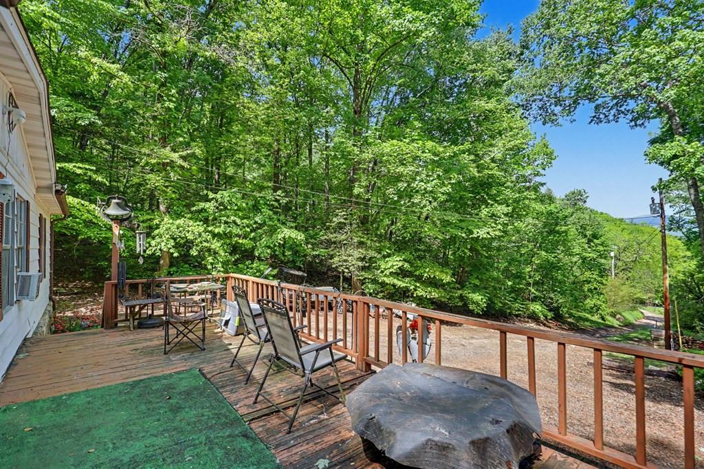 426 Claude Rogers Road Marble, NC 28905 - Photo 9 of 22