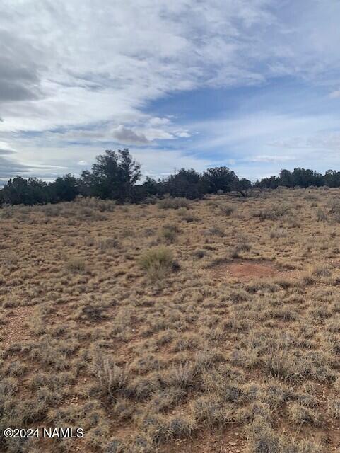 912 South Spruce Road, Unit 376 Williams, AZ 86046 - Photo 4 of 5 thumbnail_IMG_4081