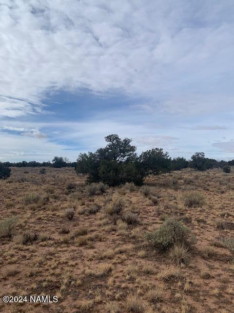 912 South Spruce Road, Unit 376 Williams, AZ 86046 - Photo 5 of 5 thumbnail_IMG_4077