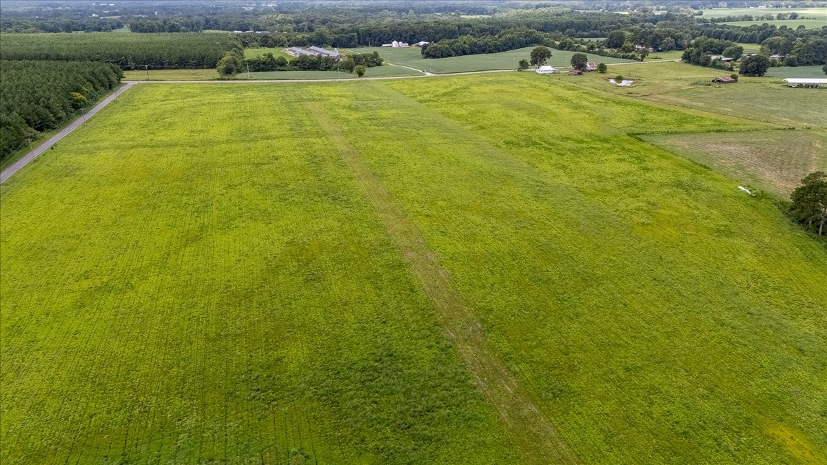 0 Jones Chapel Road Leoma, TN 38468 - Photo 4 of 13 Gallery Image 4