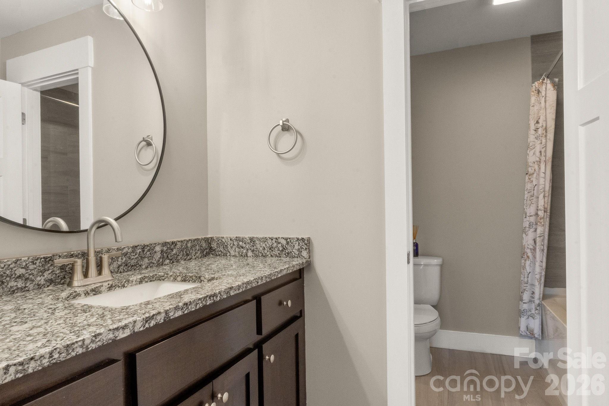 7261 Bay Ridge Drive Denver, NC 28037 - Photo 39 of 48 a bathroom with a granite countertop sink and a mirror
