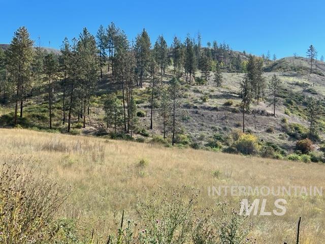 Tbd Lot 2 Tbd Road Kamiah, ID 83536 - Photo 2 of 7
