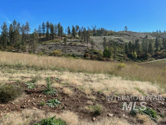 Tbd Lot 2 Tbd Road Kamiah, ID 83536 - Photo 3 of 7