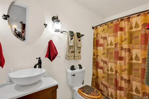 a bathroom with a toilet a sink and shower curtain