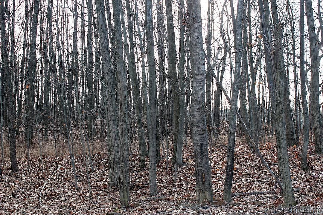 2672 East Maple Road Milford, MI 48381 - Photo 22 of 26 13.jpg