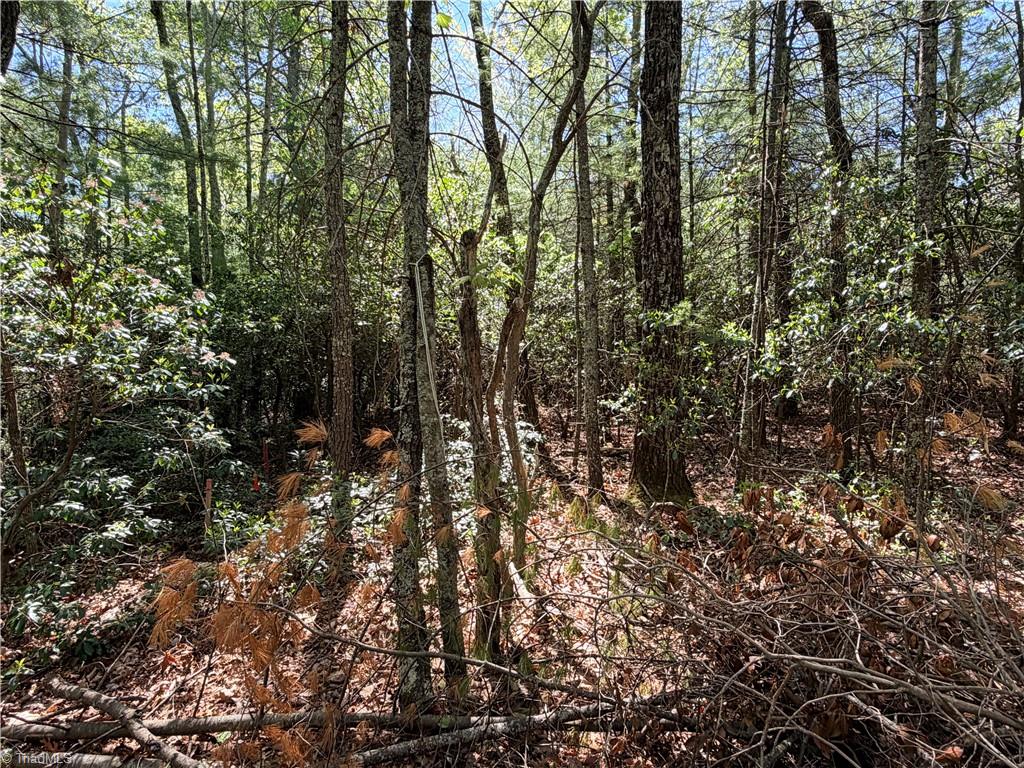 Tbd Ebenezer Road East Laurel Springs, NC 28644 - Photo 2 of 2 Gallery Image 2