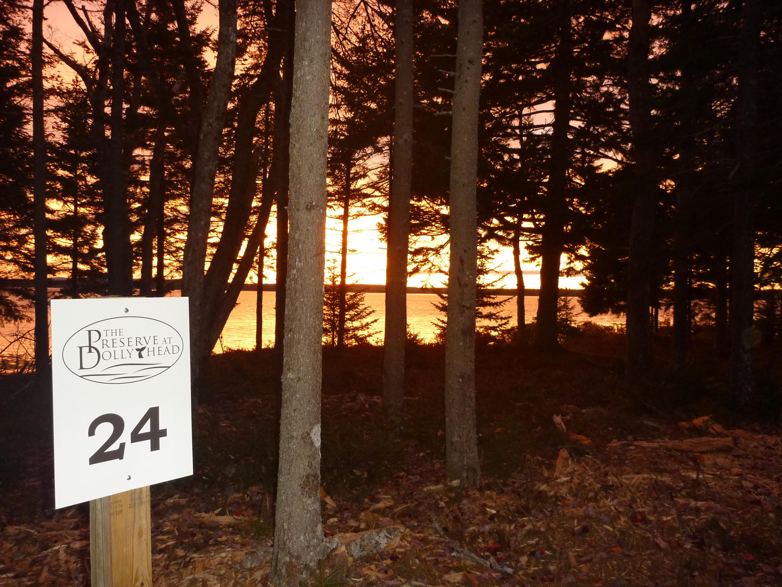 272 Estates Road Steuben, ME 04680 - Photo 13 of 14 Dolly Head Lot #24