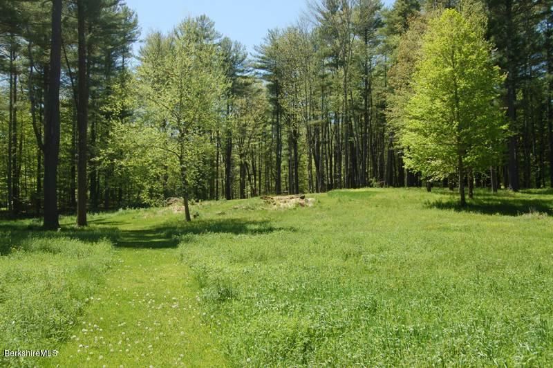 12 Blunt Road Egremont, MA 01230 - Photo 10 of 12 View back from pond area