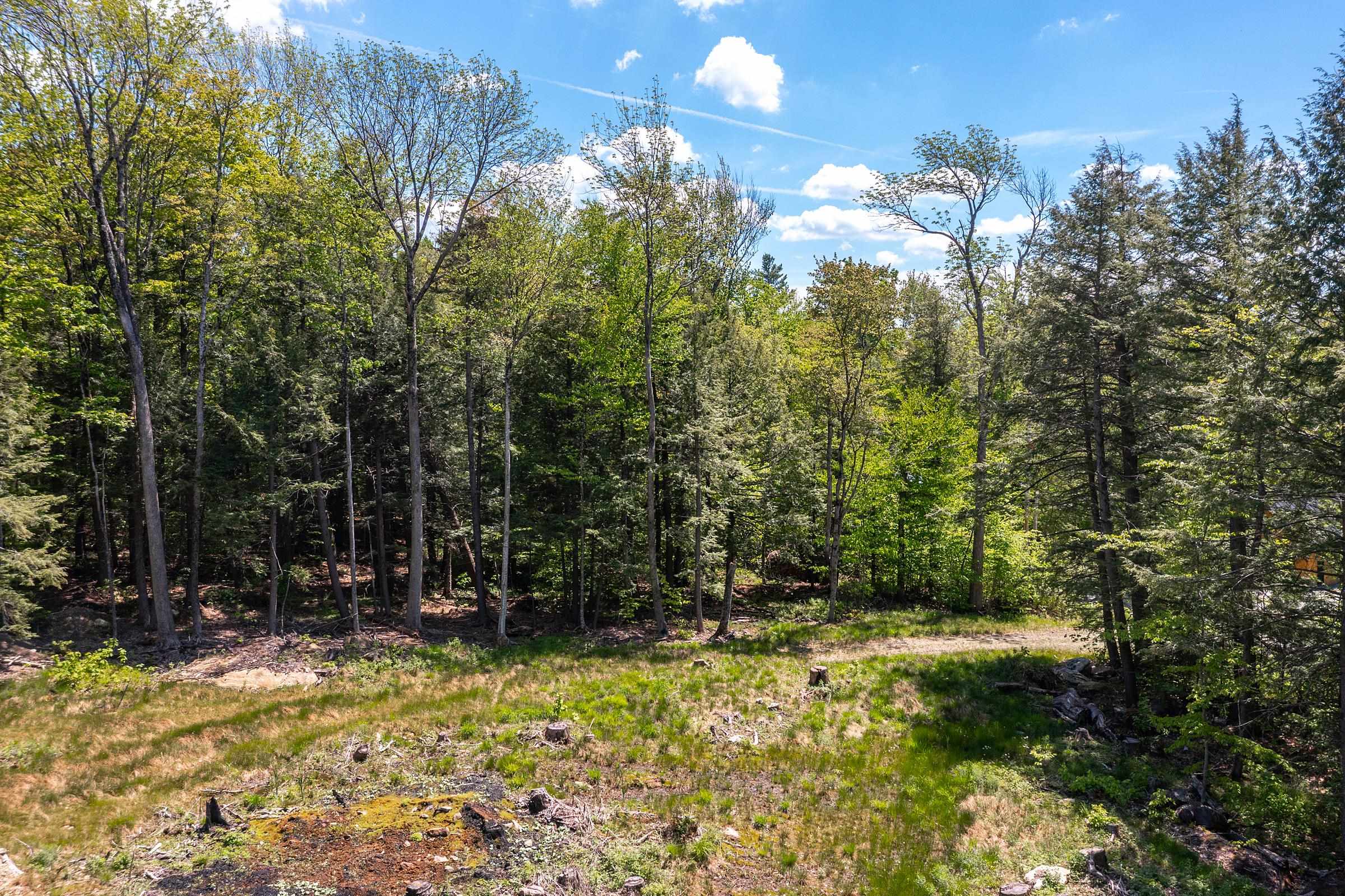 585 Sawmill Road West Wardsboro, VT 05360 - Photo 5 of 15