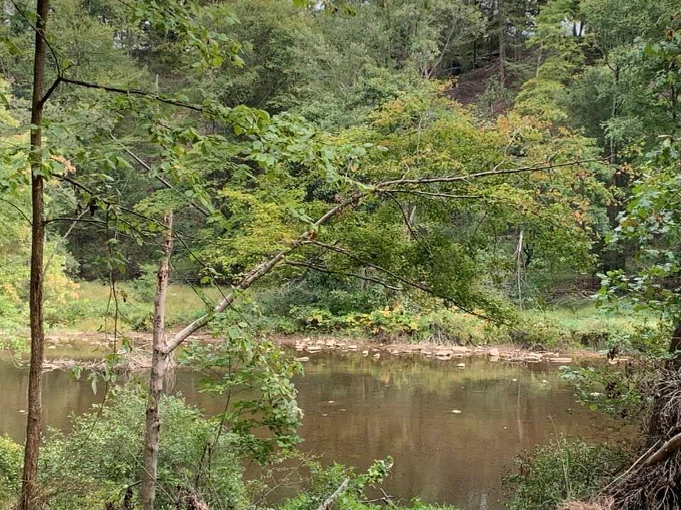 0 Rt 805 Putneyville New Bethlehem, PA 16242 - Photo 2 of 15