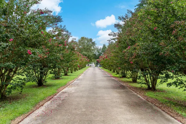 $559,000 | 180 State Rd S-38-1893, Orangeburg, SC 29115