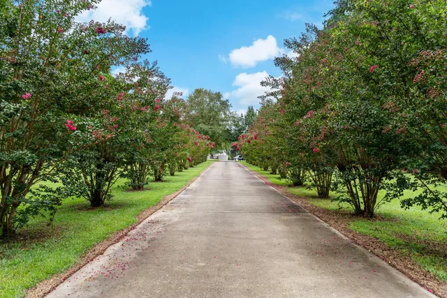 $559,000 | 180 State Rd S-38-1893, Orangeburg, SC 29115