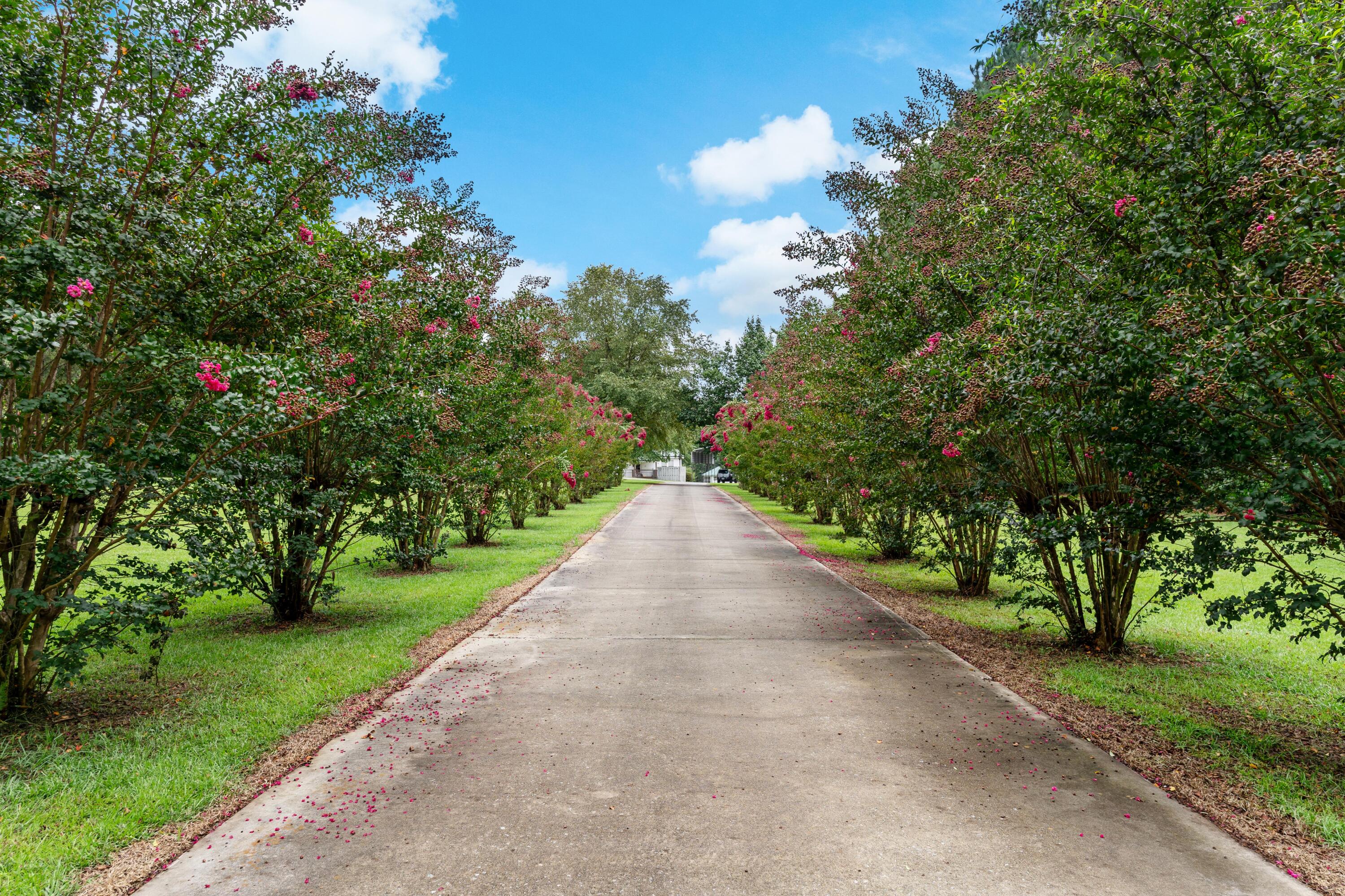 180 State Rd S-38-1893 Orangeburg, SC 29115 - Photo 2 of 73 DSC08855