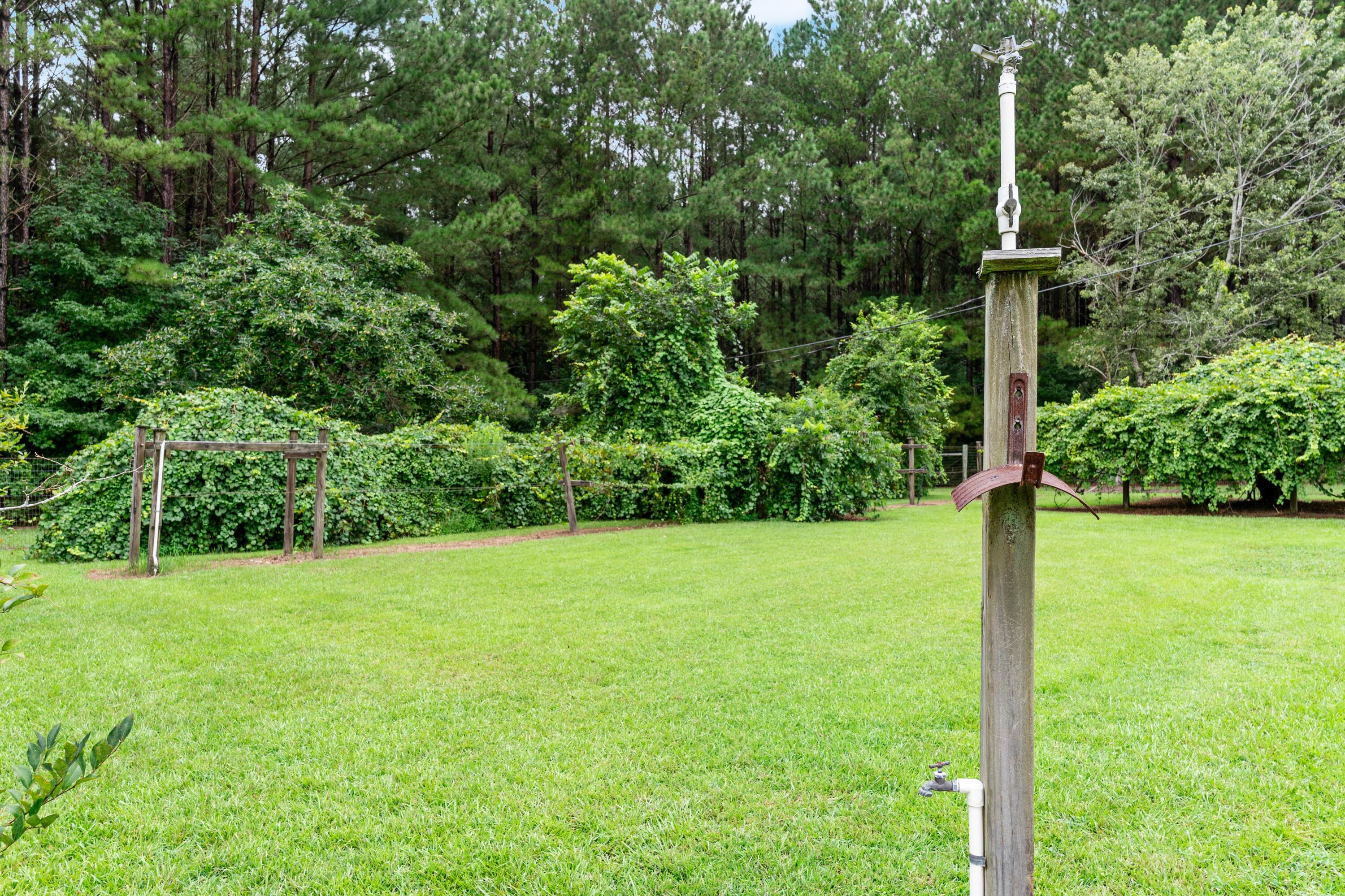 180 State Rd S-38-1893 Orangeburg, SC 29115 - Photo 47 of 73 DSC08891