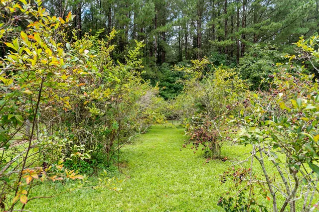 $559,000 | 180 State Rd S-38-1893, Orangeburg, SC 29115