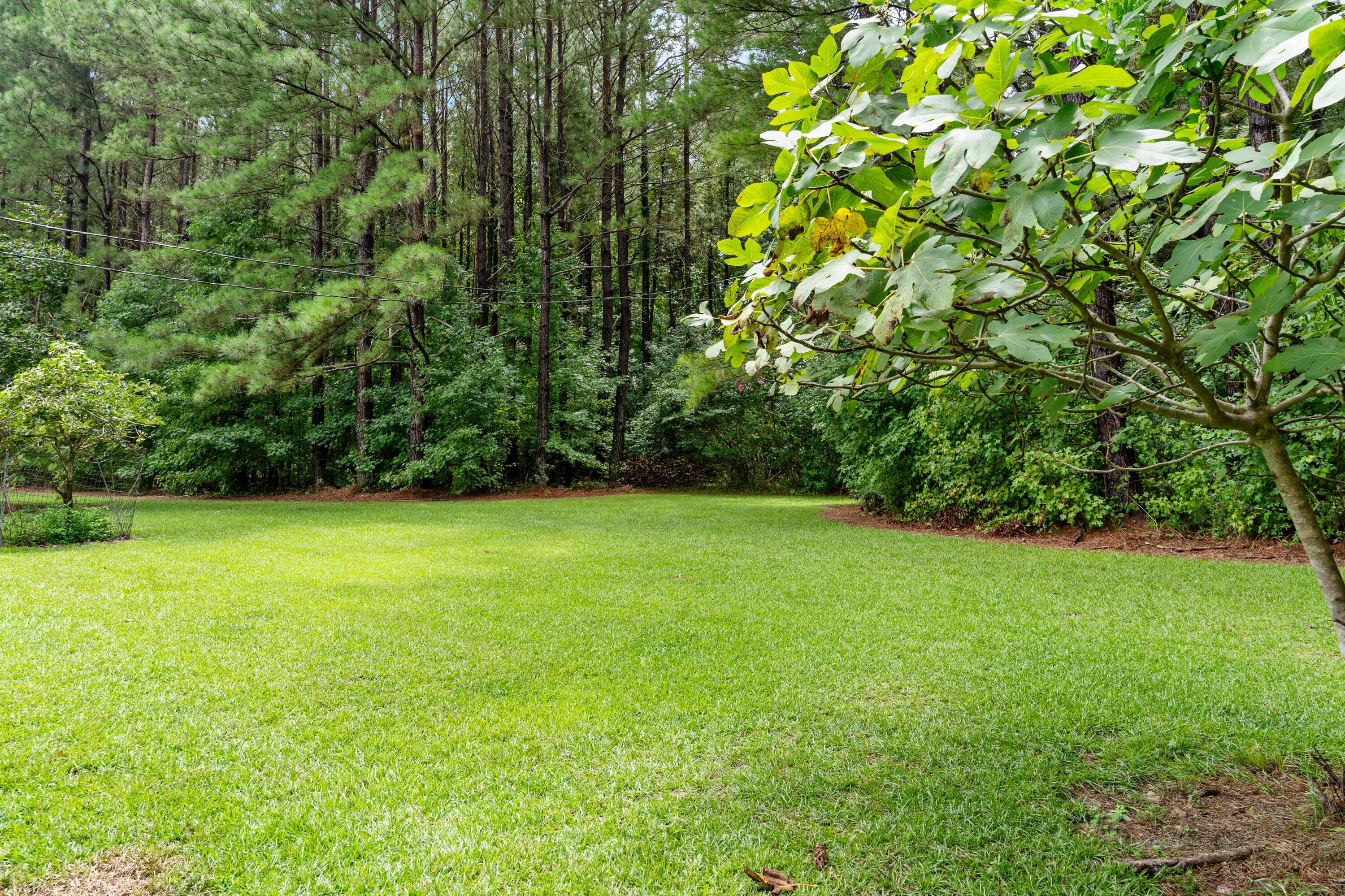 180 State Rd S-38-1893 Orangeburg, SC 29115 - Photo 49 of 73 DSC08911