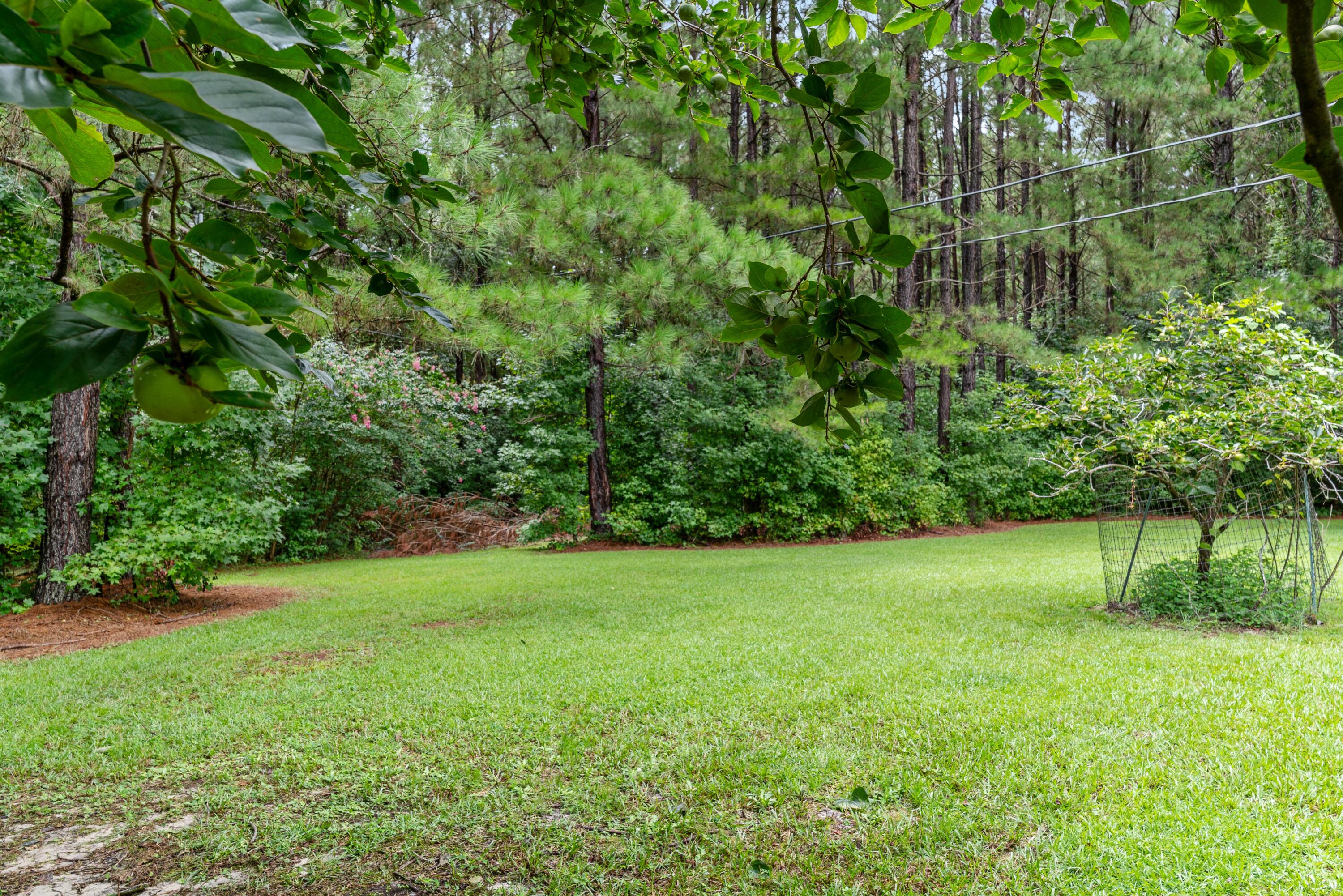 180 State Rd S-38-1893 Orangeburg, SC 29115 - Photo 50 of 73 DSC08916