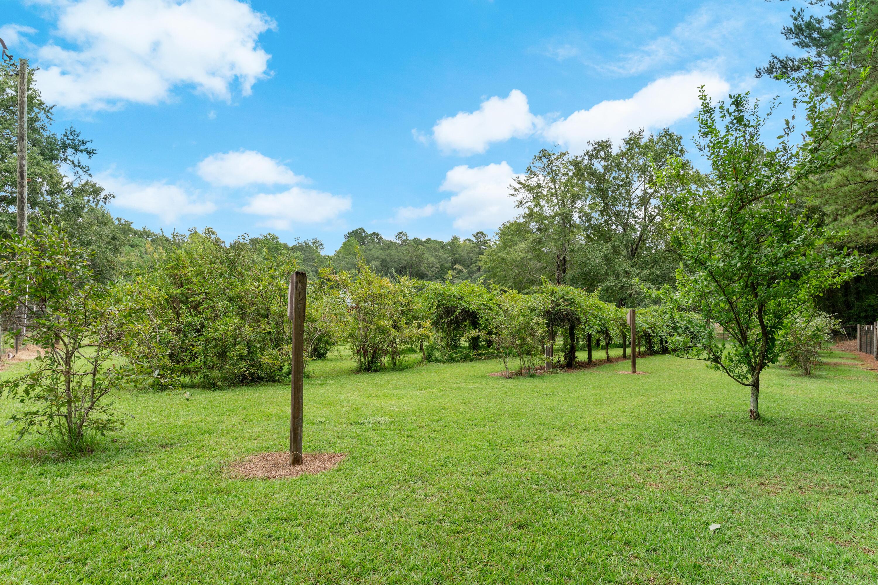 180 State Rd S-38-1893 Orangeburg, SC 29115 - Photo 52 of 73 DSC08931