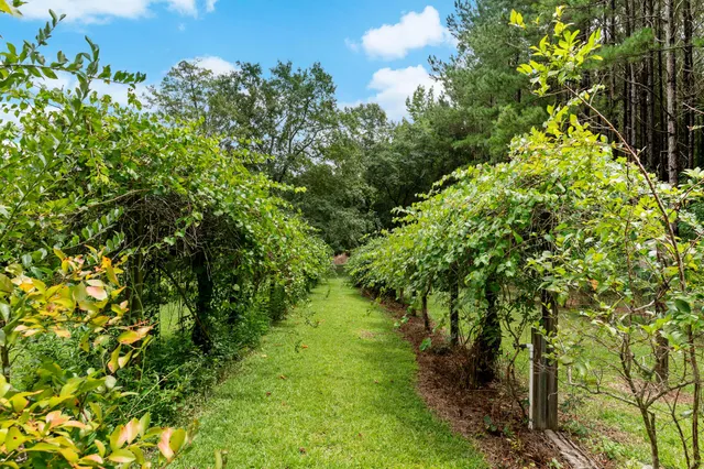 $559,000 | 180 State Rd S-38-1893, Orangeburg, SC 29115