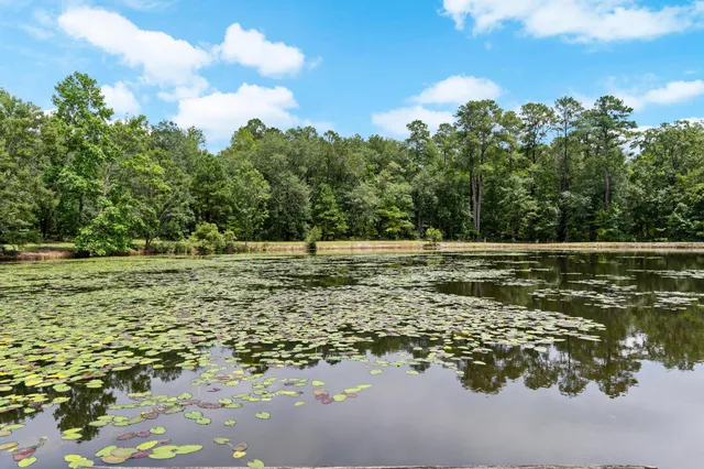 $559,000 | 180 State Rd S-38-1893, Orangeburg, SC 29115