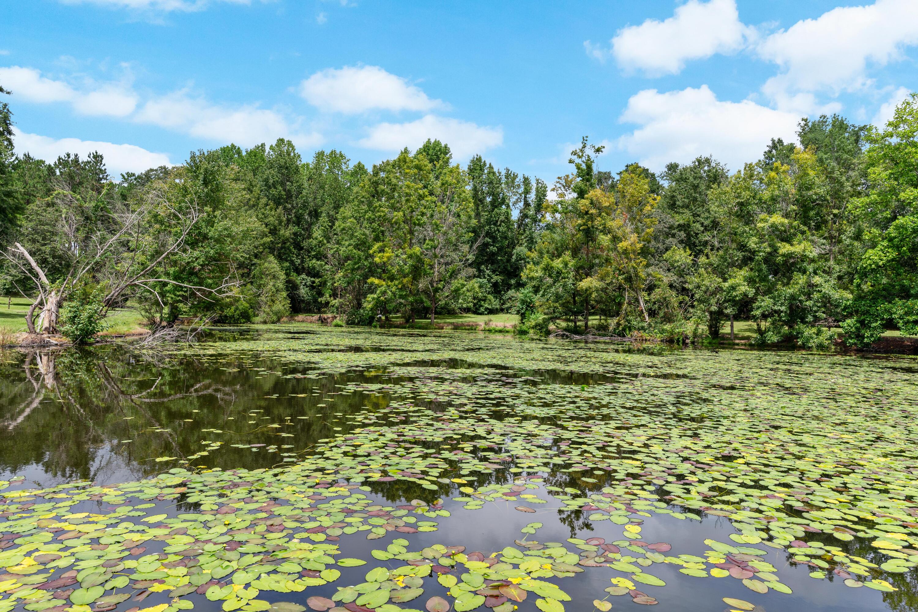 180 State Rd S-38-1893 Orangeburg, SC 29115 - Photo 59 of 73 DSC08981