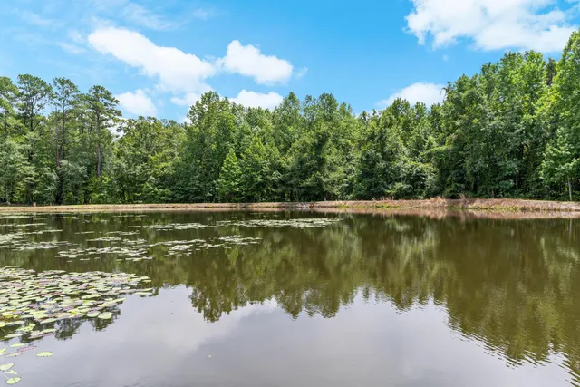 $559,000 | 180 State Rd S-38-1893, Orangeburg, SC 29115