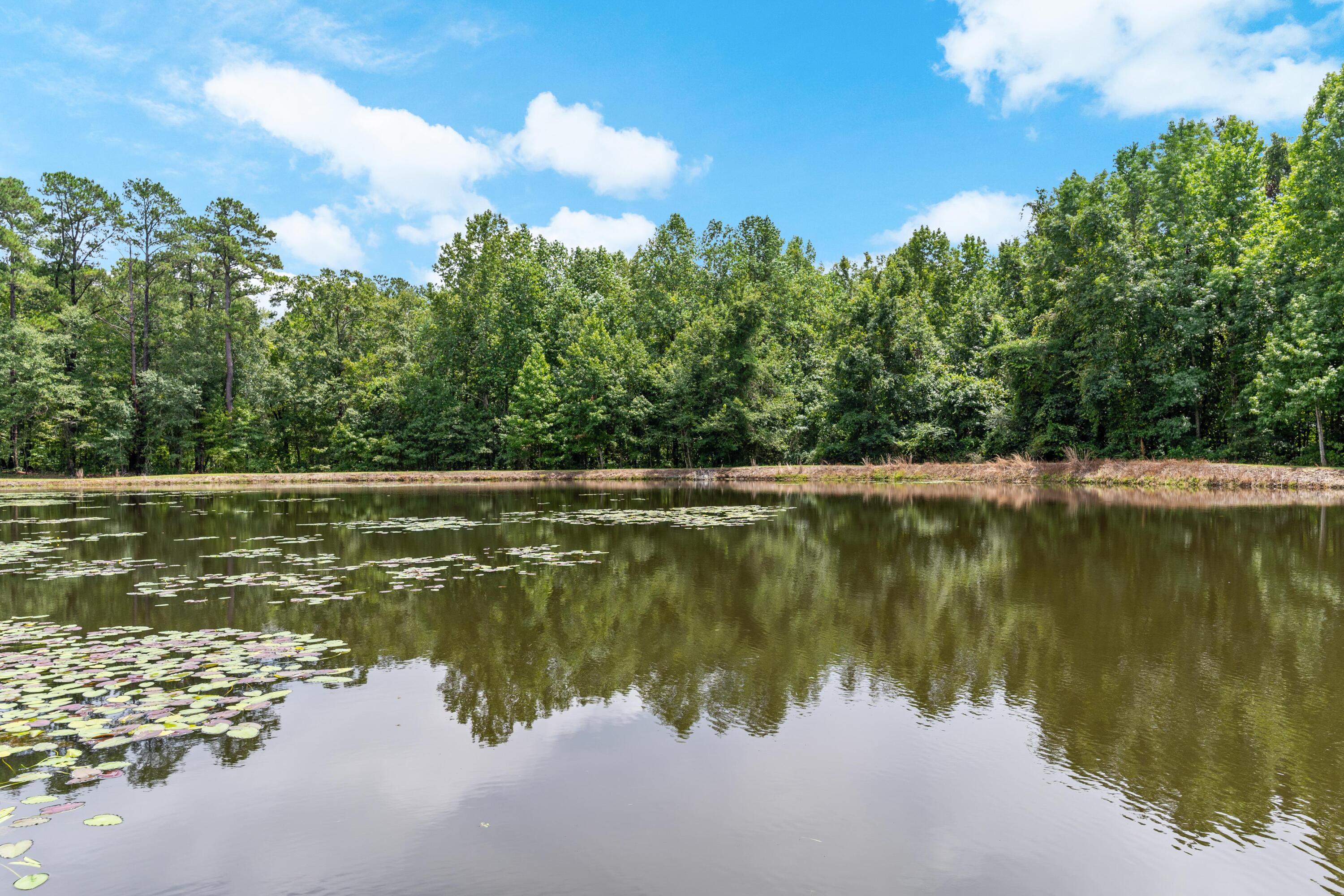 180 State Rd S-38-1893 Orangeburg, SC 29115 - Photo 60 of 73 DSC08988