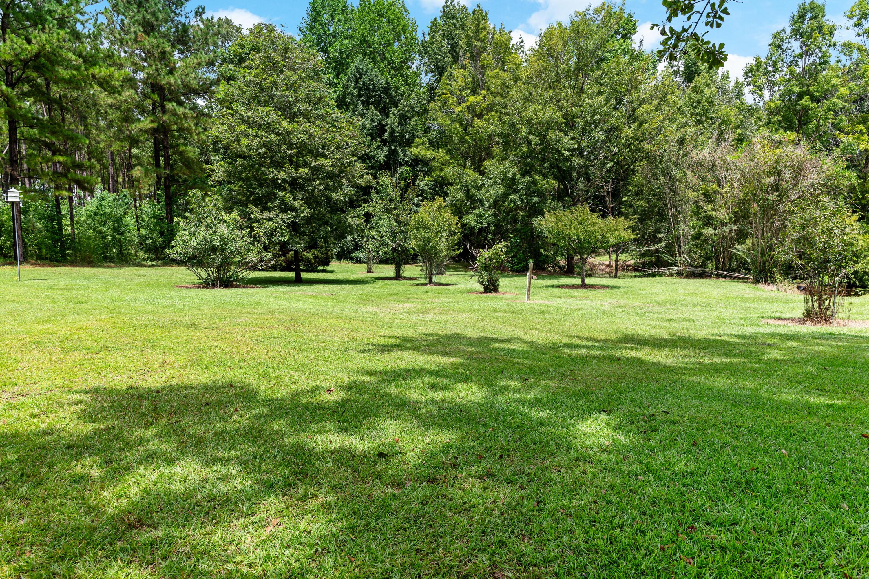 180 State Rd S-38-1893 Orangeburg, SC 29115 - Photo 61 of 73 DSC08991