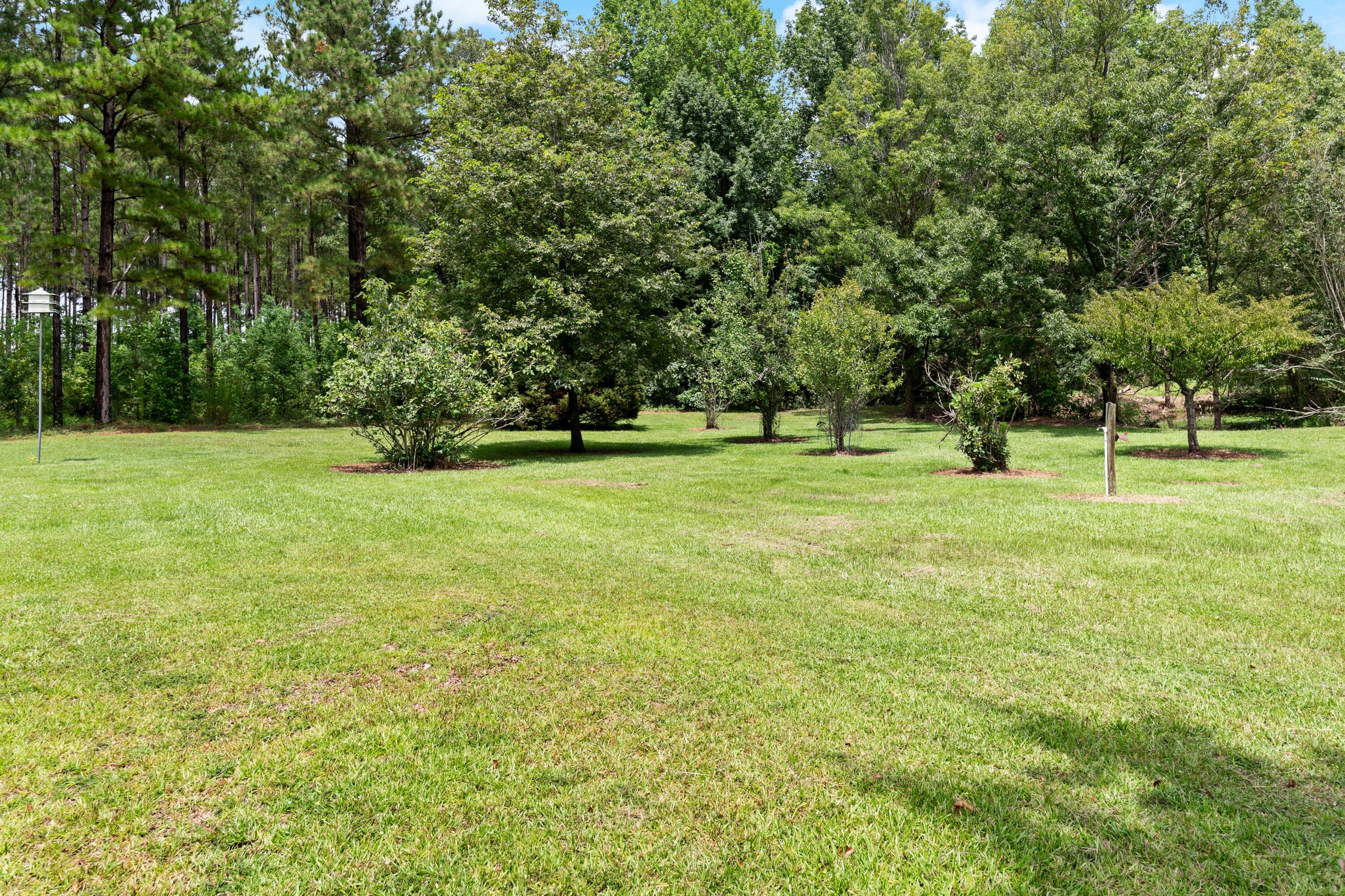 180 State Rd S-38-1893 Orangeburg, SC 29115 - Photo 62 of 73 DSC08996