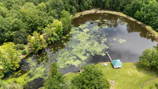 $559,000 | 180 State Rd S-38-1893, Orangeburg, SC 29115