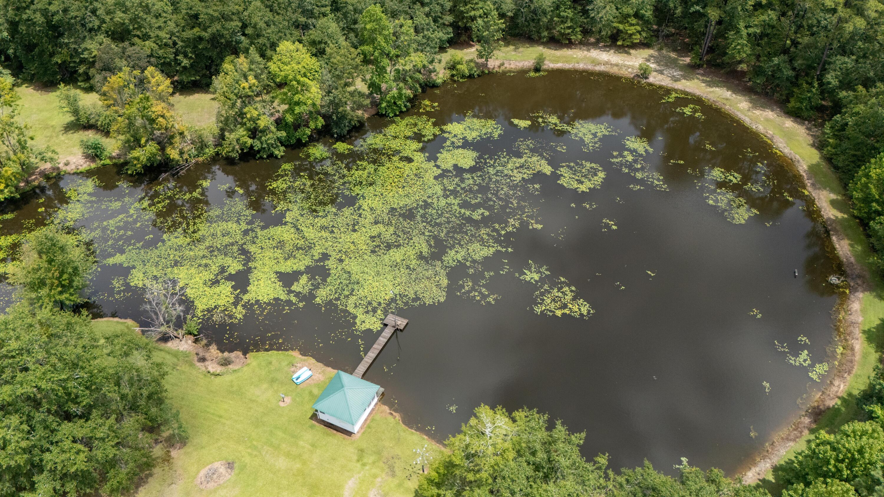 180 State Rd S-38-1893 Orangeburg, SC 29115 - Photo 67 of 73 riversturn4