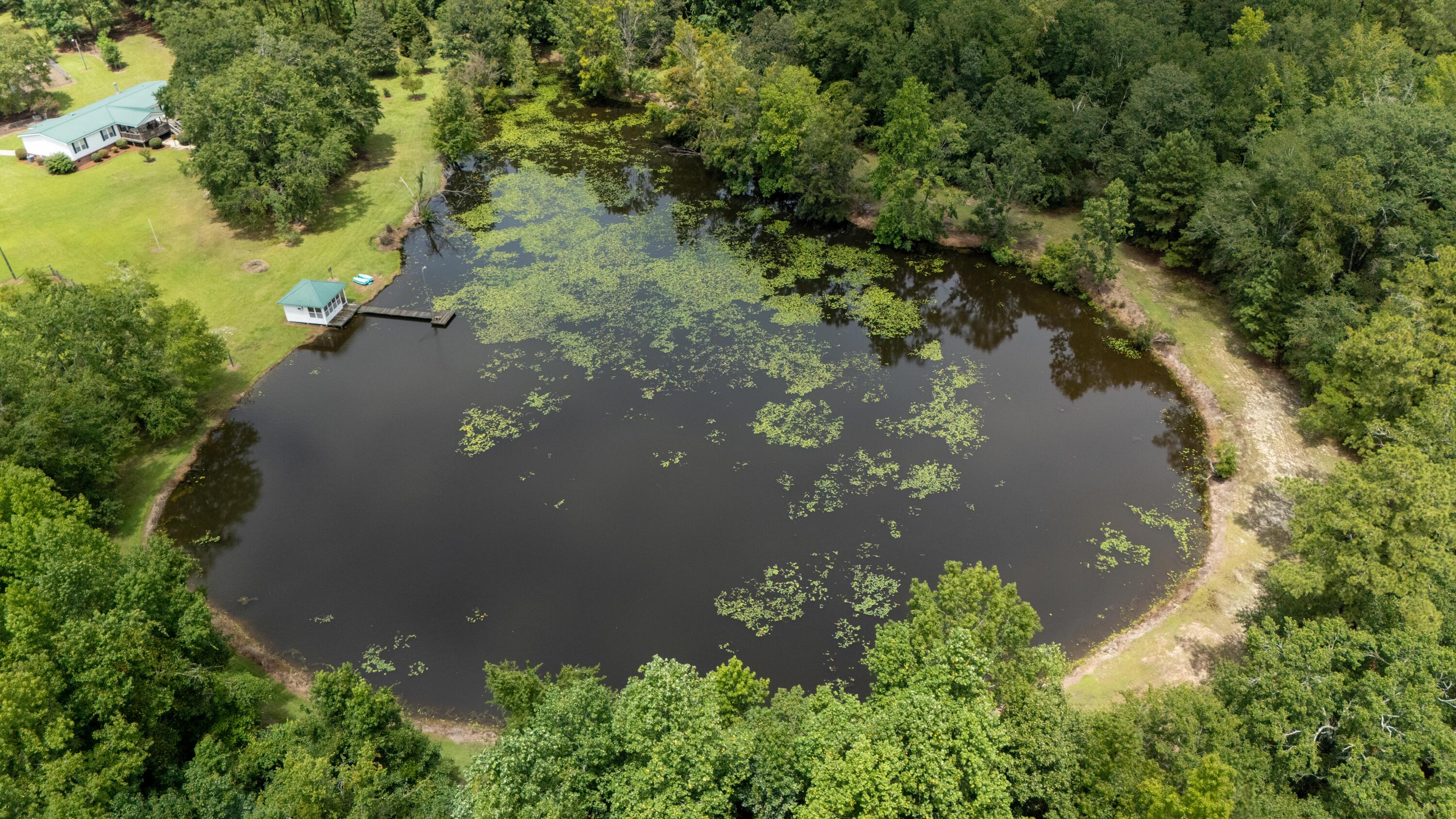 180 State Rd S-38-1893 Orangeburg, SC 29115 - Photo 68 of 73 riversturn5