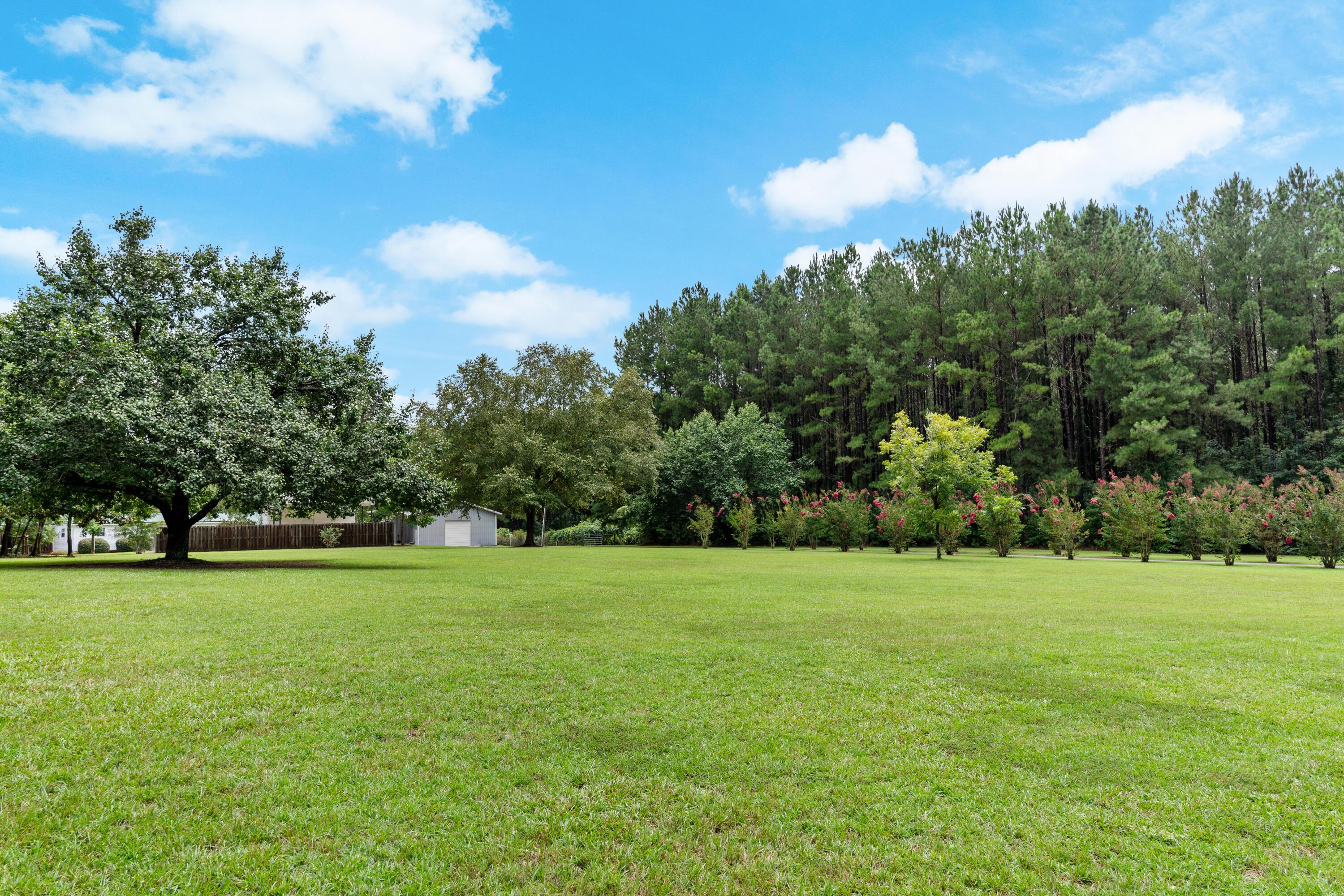 180 State Rd S-38-1893 Orangeburg, SC 29115 - Photo 10 of 73 DSC08850