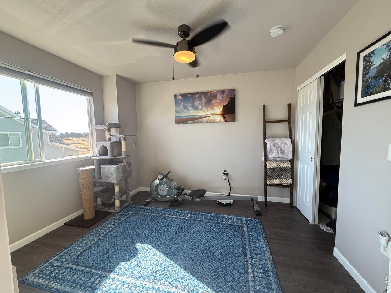 810 Gentlewind Way Berthoud, CO 80513 - Photo 24 of 35 ceiling fan provides nice air flow in this room with so many possible uses