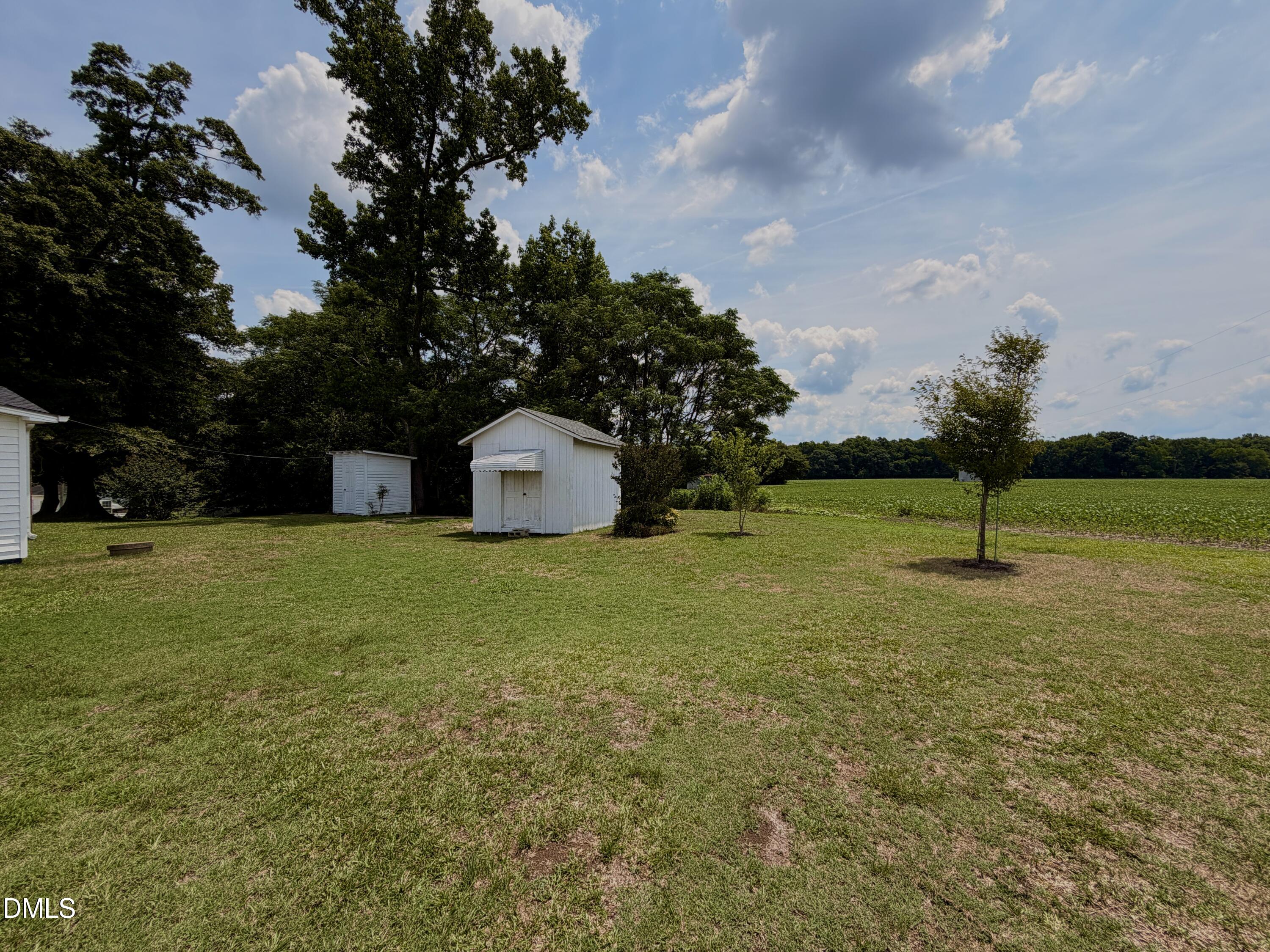 389 Luby Smith Road Princeton, NC 27569 - Photo 6 of 18