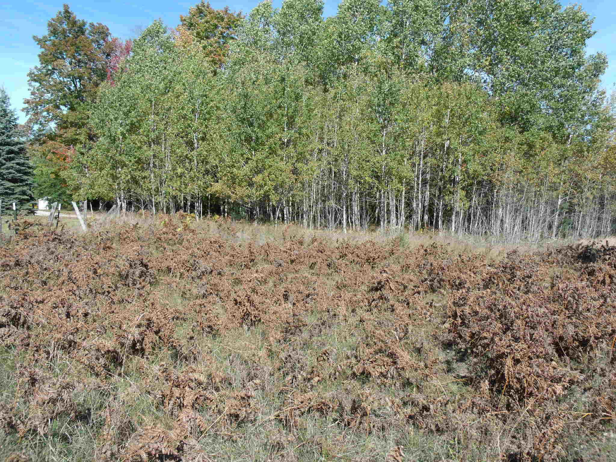 5210 Long Lake Road Cheboygan, MI 49721 - Photo 74 of 79 Gallery Image 74