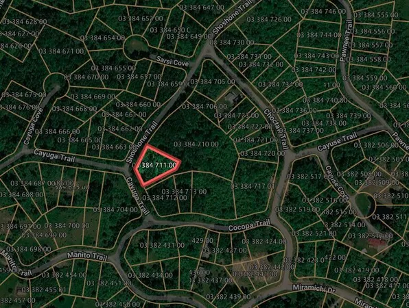 $600 | Coyuga/shoshone Trail, Evart, MI 49631