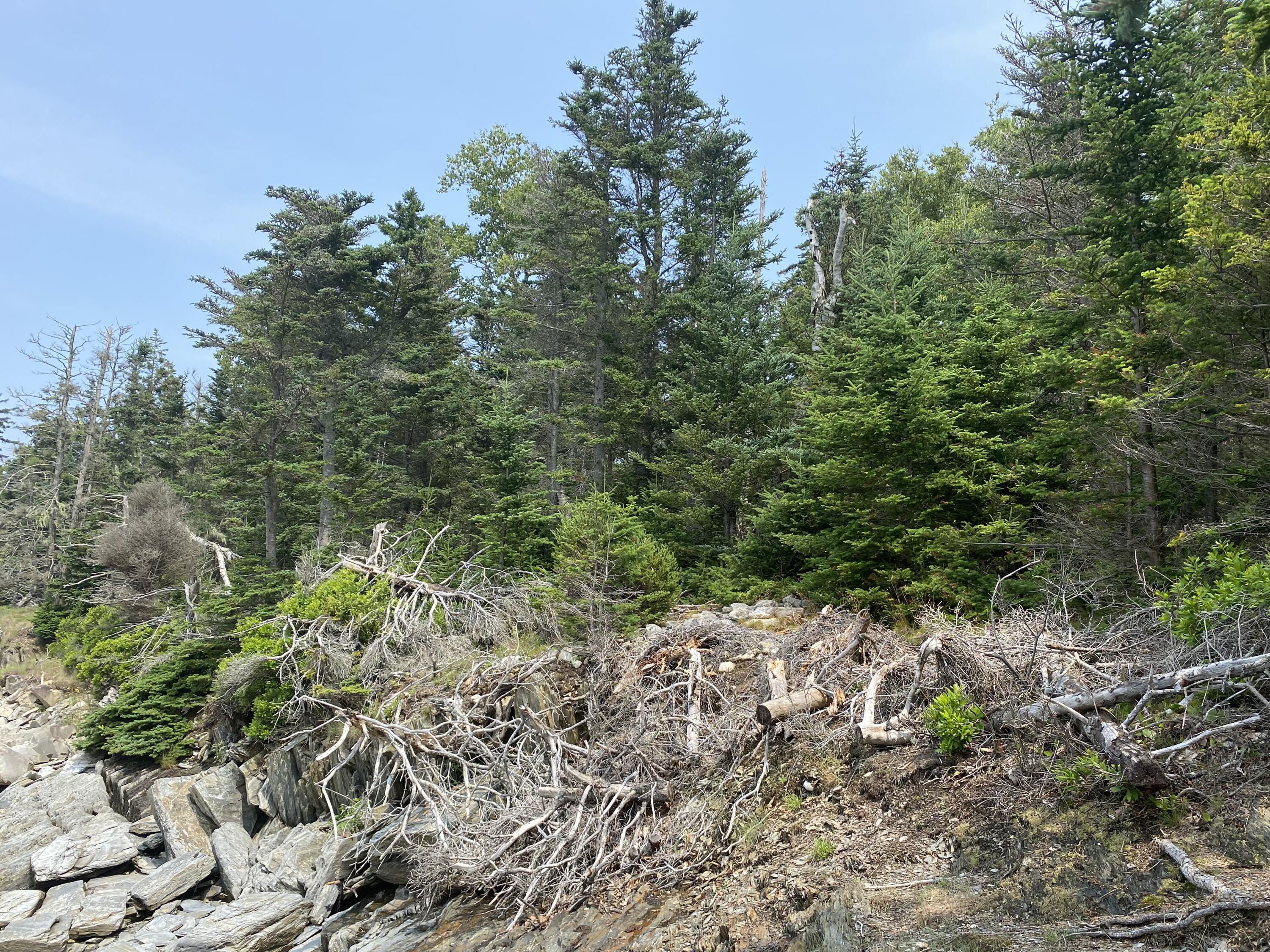 1552 Turtle Head Road Islesboro, ME 04848 - Photo 7 of 19 Watersedge