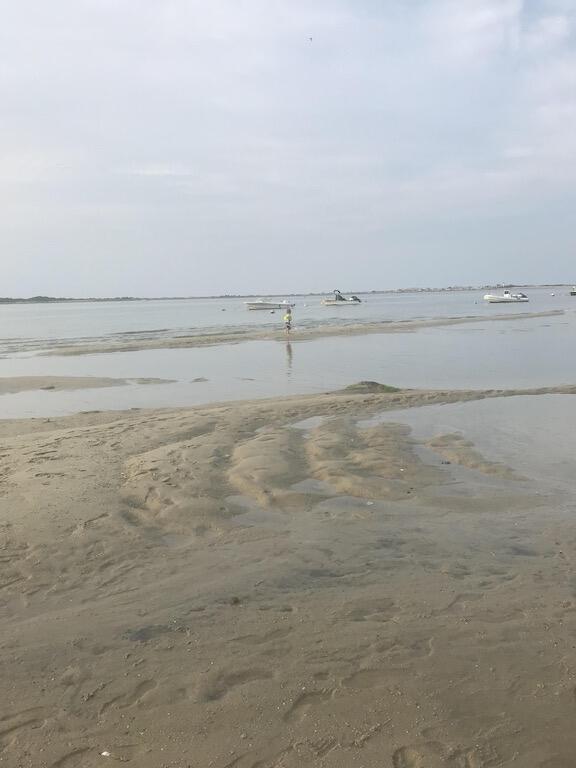 175 Sunset Lane Barnstable, MA 02630 - Photo 41 of 47 46D84DB1-9D2D-414F-9EEE-BC0E2ADDC075